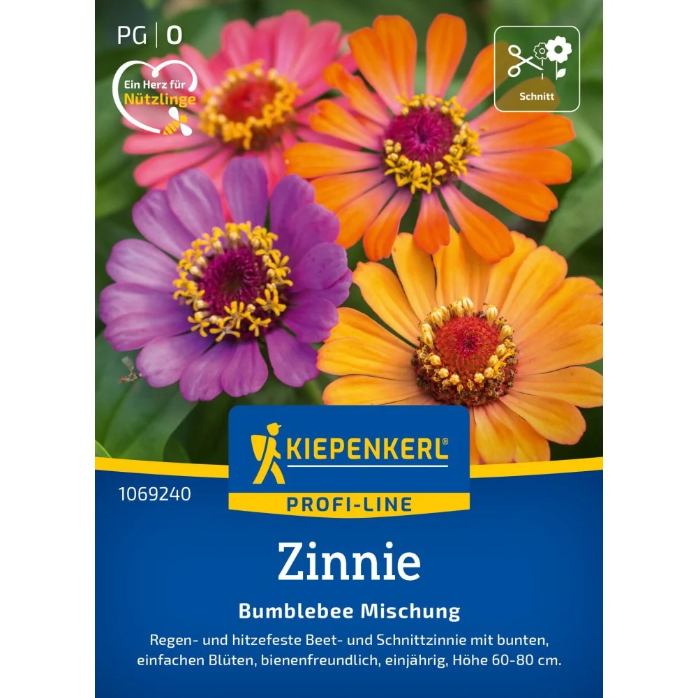 Seminte Zinnia mix Bumblebee – inflorire bogata si culori intense, cu protectie germinatie