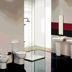 Set vas WC monobloc Durius