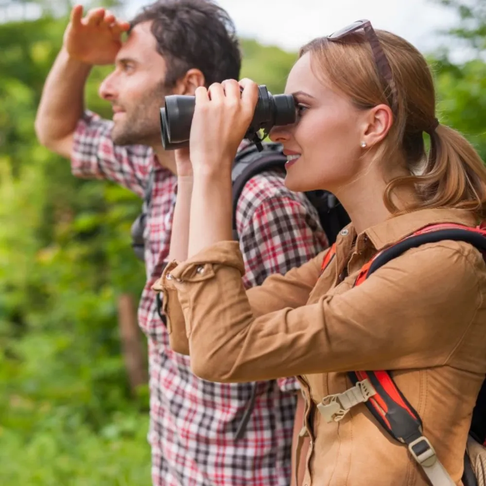 Birdwatching din canoe Delta Dunarii