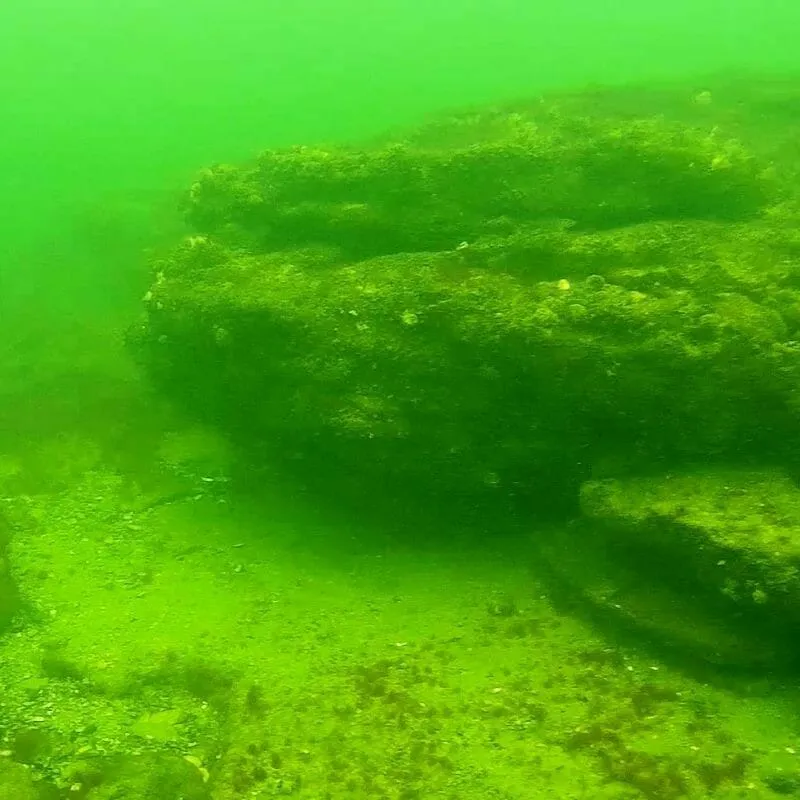 Scuba diving pentru un cuplu