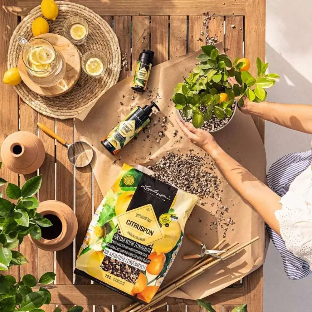 Substrat Mineral LECHUZA Citruspon 12 l, pentru citrice, 100% fara turba, cu ingrediente naturale