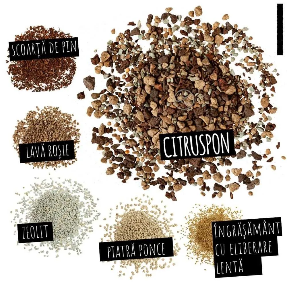 Substrat Mineral LECHUZA Citruspon 25 l, pentru citrice, 100% fara turba, cu ingrediente naturale