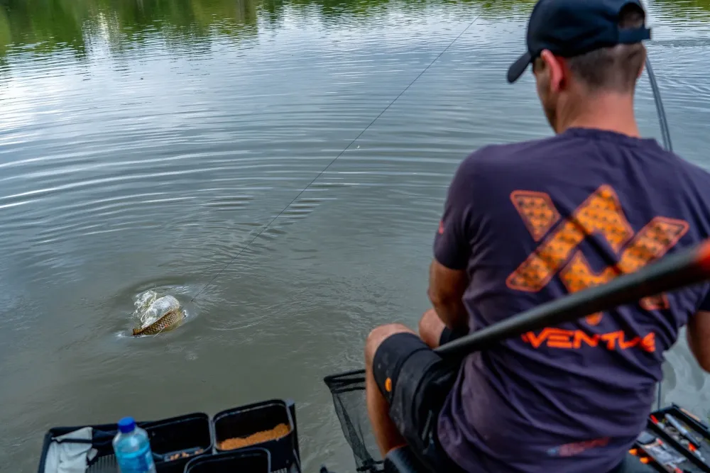 -CLASS POWER MARGIN 550 - 5.5m