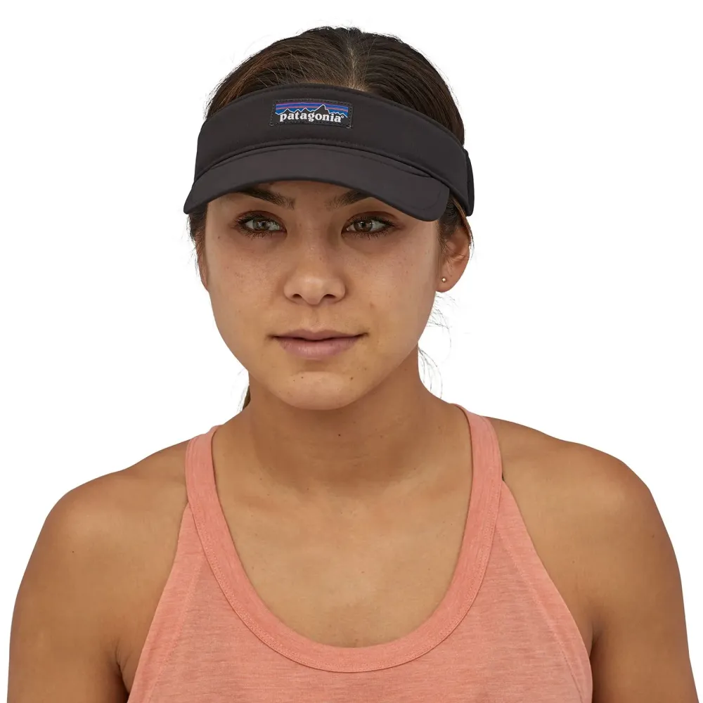 Visor Patagonia Airshed